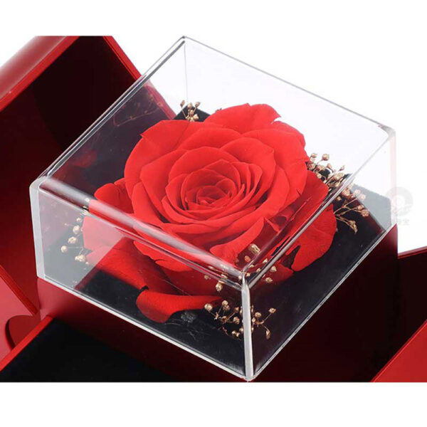 Fashion Jewelry Box Red Apple Christmas Gift Necklace Eternal Rose For Girl Mother's Day Valentine's Day Gifts With Artificial Flower Rose Flower Jewelry Box - Image 7